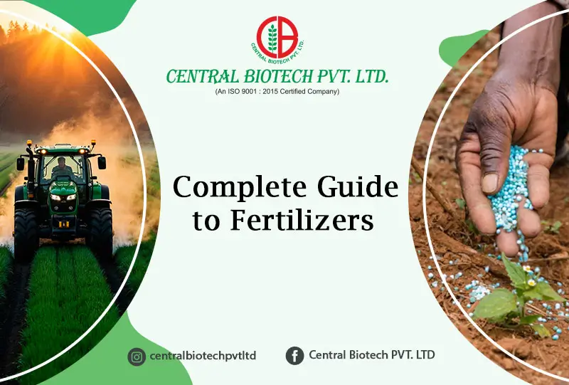 The Ultimate Guide to Fertilizers: Types and How to Use Them