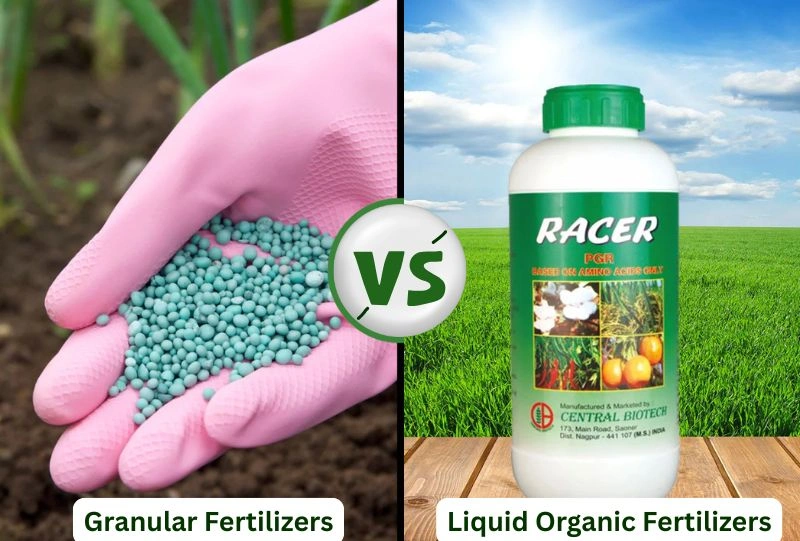 Liquid Organic Fertilizers vs Granular: Which Works Best for Your Crop?