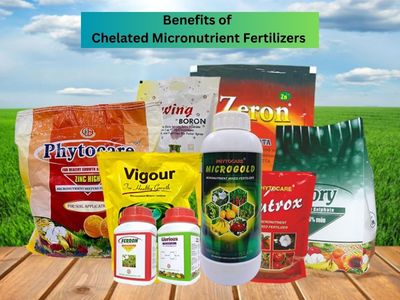 Benefits of Chelated Micronutrient Fertilizers