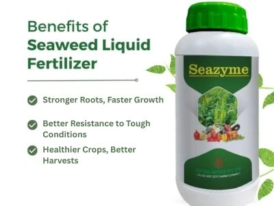 Benefits of Seaweed Fertilizer for Indian Farmers