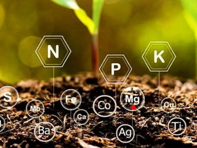 Checklist You Should Follow Before Choosing an Organic Fertilizer Supplier