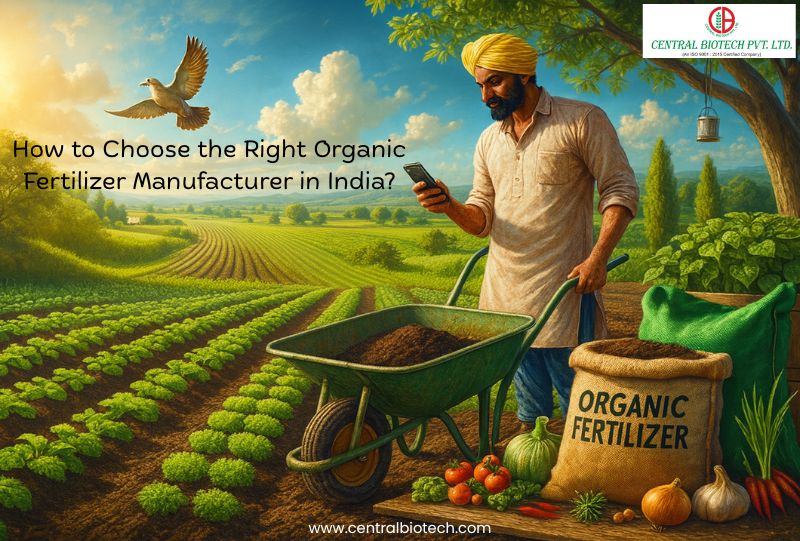 How to Choose the Right Organic Fertilizer Manufacturer in India?