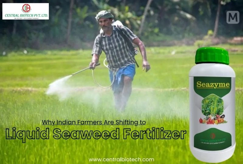 Why Indian Farmers Are Shifting to Liquid Seaweed Fertilizer in 2026