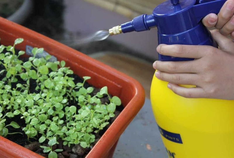What Are Liquid Organic Fertilizers? Benefits & Uses Explained
