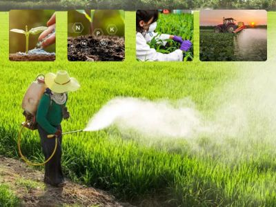 understanding-organic-fertilizers