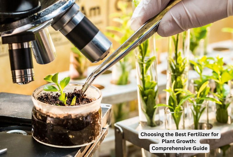 Choosing the Best Fertilizer for Plant Growth: Comprehensive Guide