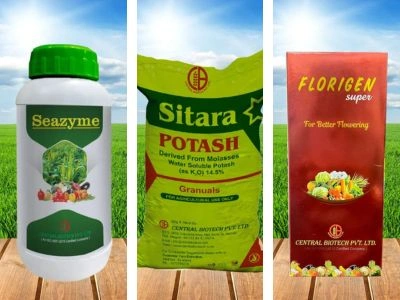 What Indian Buyers Should Expect?