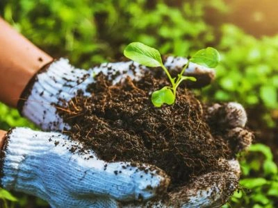 Why Central Biotech Is a Trusted Organic Fertilizer Supplier?