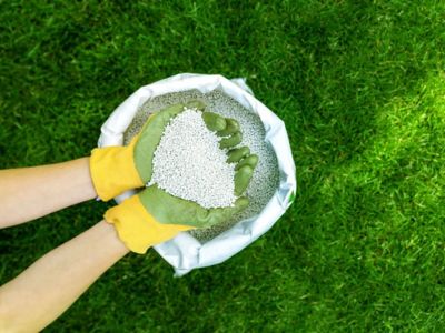 why-is-organic-fertilizer-better
