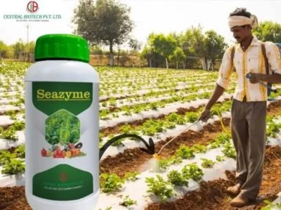 Why Liquid Seaweed Fertilizer Works So Well in India